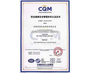 職業(yè)健康安全管理體系認證證書